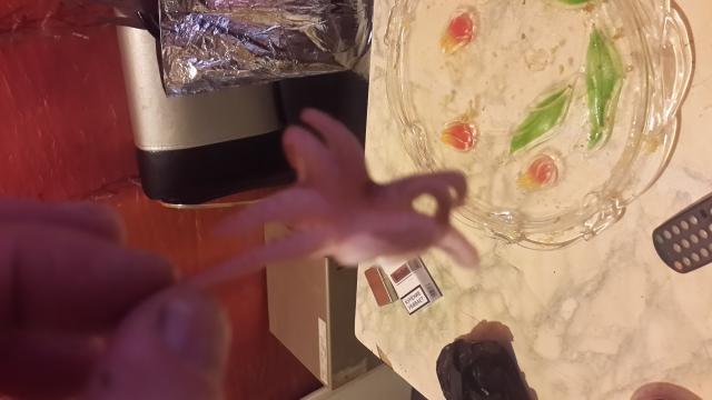 20151220_135022.jpg
