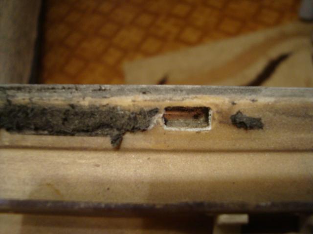 DSC05339.JPG