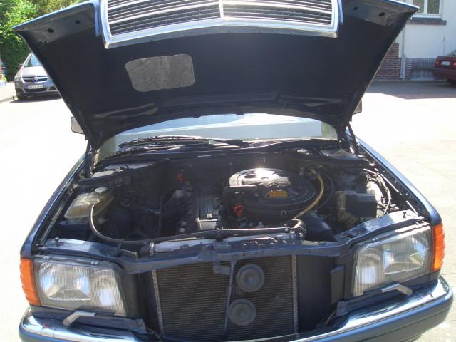 CIMG5419.JPG