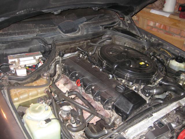 IMG_1821.JPG