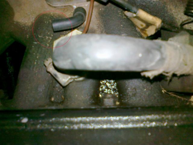 15032011045.jpg