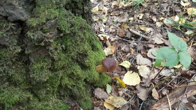 20160913_115655.jpg