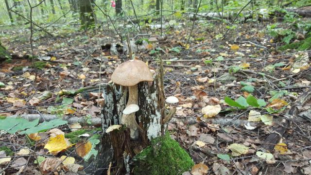20160913_114256.jpg