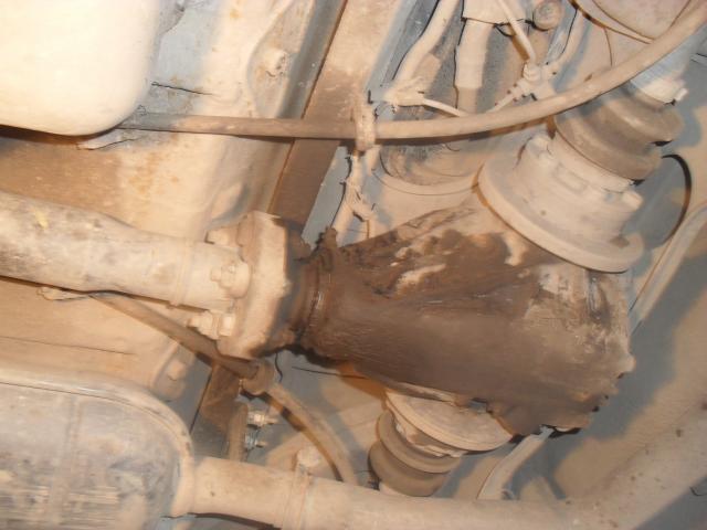 SDC15896.JPG