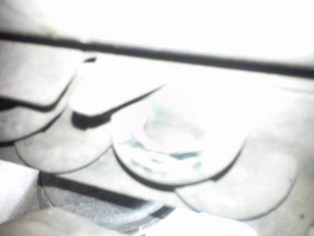 ____0095.jpg