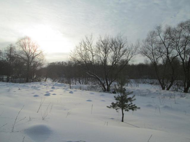 IMG_1607.JPG