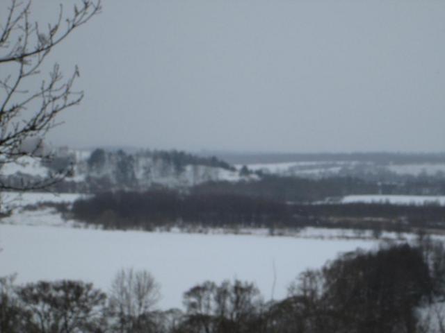 IMG_1584.JPG