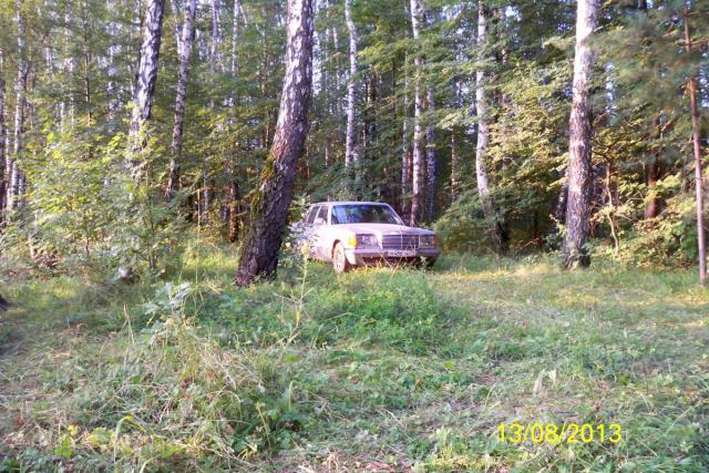 100_3884.JPG