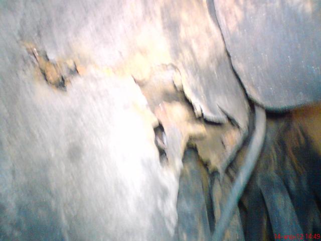 DSC00356.JPG
