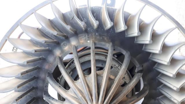 20190912_160358.jpg