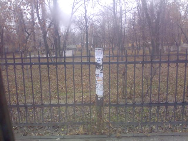 04122012269.jpg
