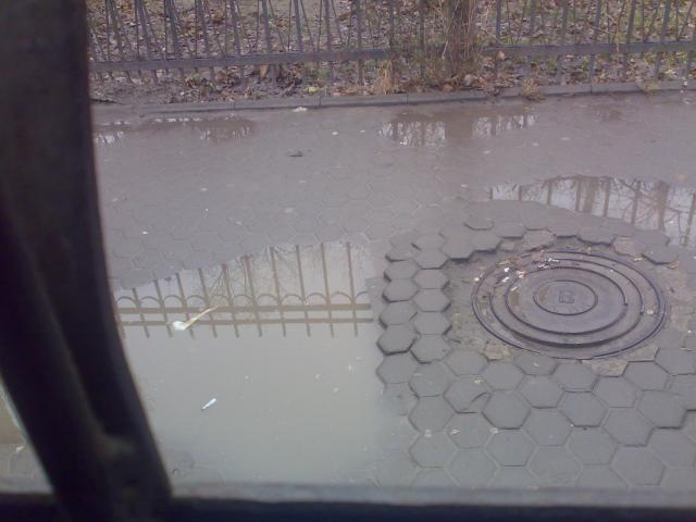 04122012270.jpg