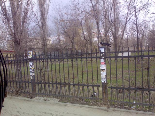 12042013362.jpg