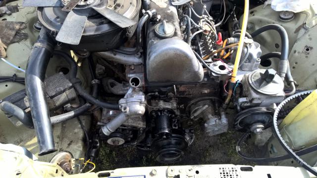 WP_20160612_16_24_04_Pro.jpg