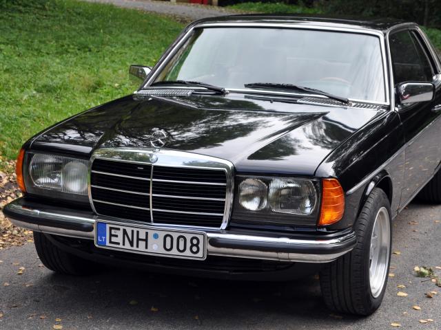 88ce44f2056926ee_large.jpg