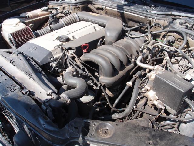 P9025968.JPG