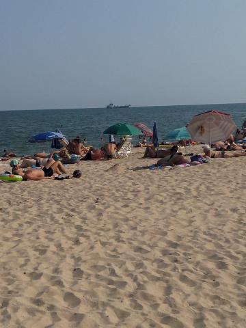 IMG_20150814_163437.jpg