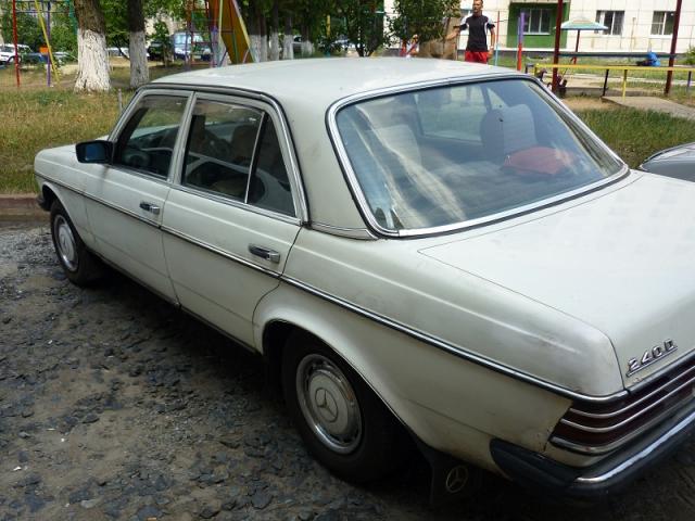 P1000936.JPG
