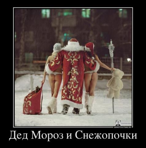946433_ded_moroz_i_snezhopochki.jpg