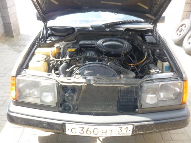 P1020517.JPG