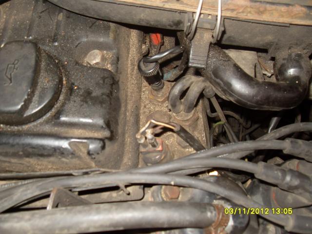 SDC10016.JPG