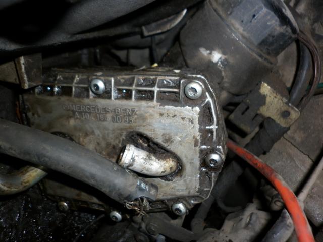 P1000774.JPG