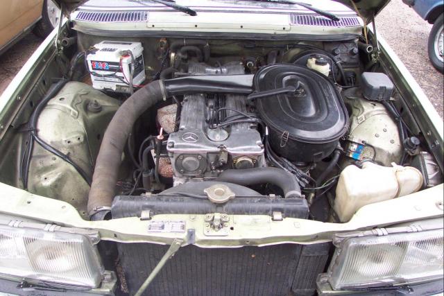 k1_DCP_0756.jpg