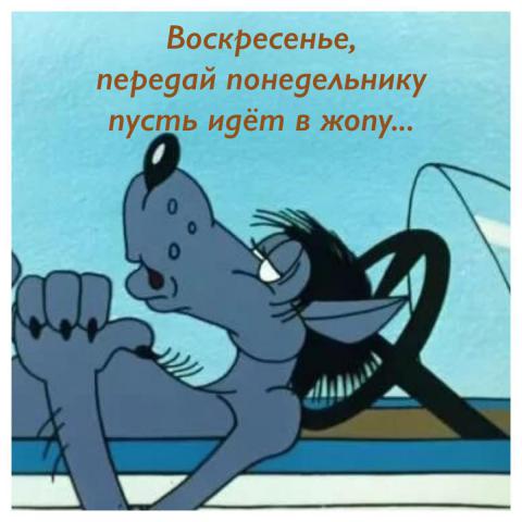5c7af361-b76e-4b9f-bdac-5cd6afdc9bd3.jpg