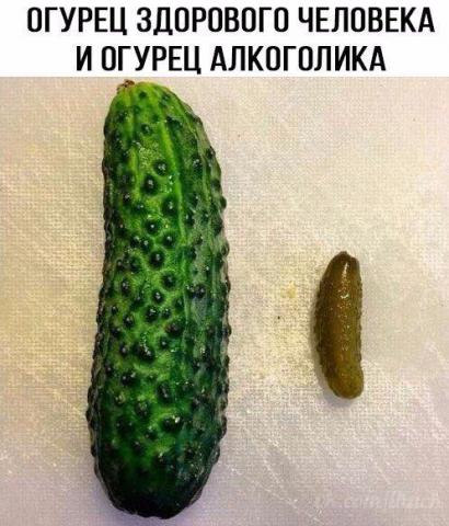 0c0360ac-01df-425d-8a63-b19c882a339d.jpg