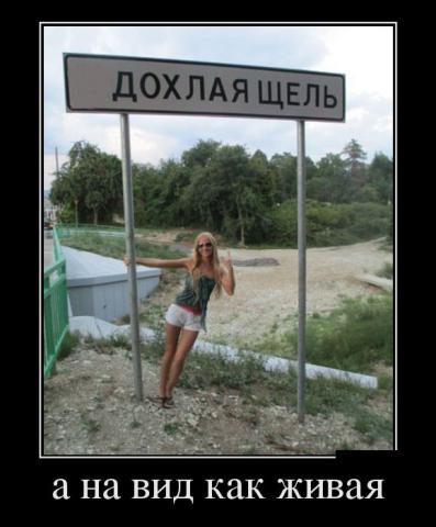 1369333530_demotivatory_08_1.jpg