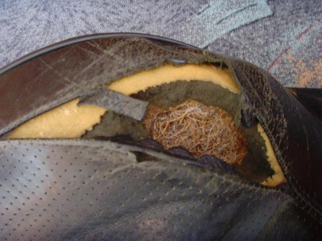 SNV33453.JPG