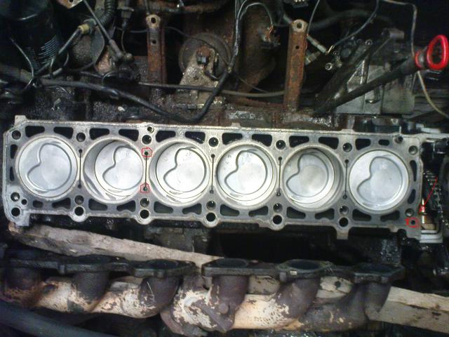 DSC02114.jpg