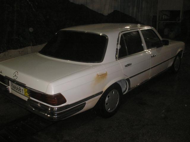 P1010024.JPG