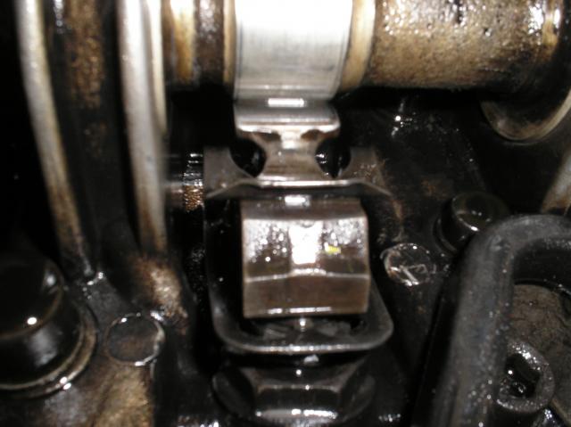 P1010015.JPG