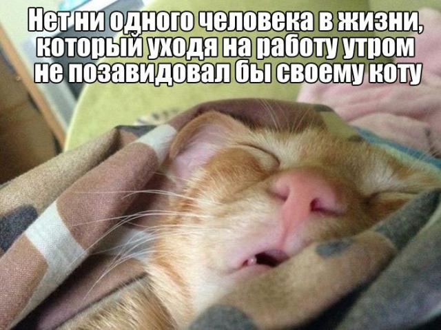 1465507826_podborka_dnevnaya_01.jpg