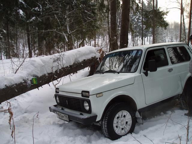 P2041022.JPG