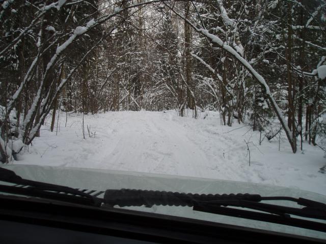 P2041087.JPG