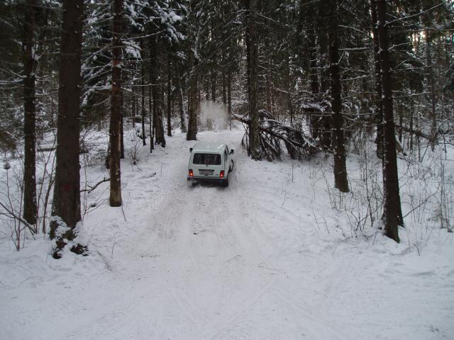 P2041092.JPG