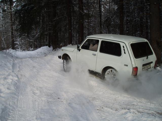 P2041074.JPG