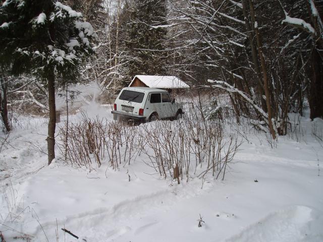 P2041081.JPG