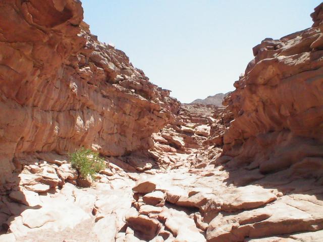 PIC_0063.JPG