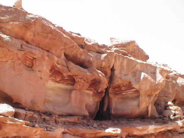 PIC_0066.JPG