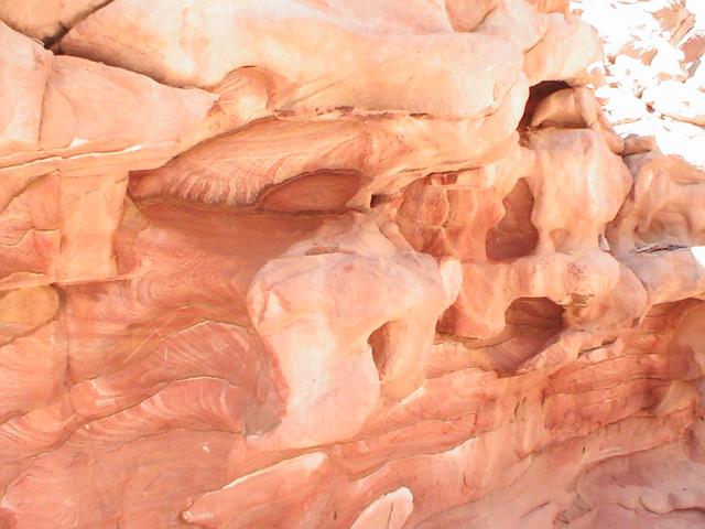 PIC_0073.JPG