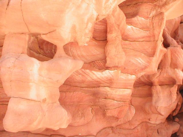 PIC_0074.JPG