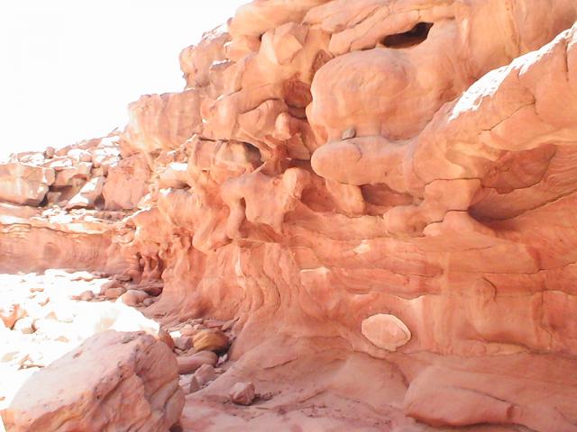 PIC_0075.JPG