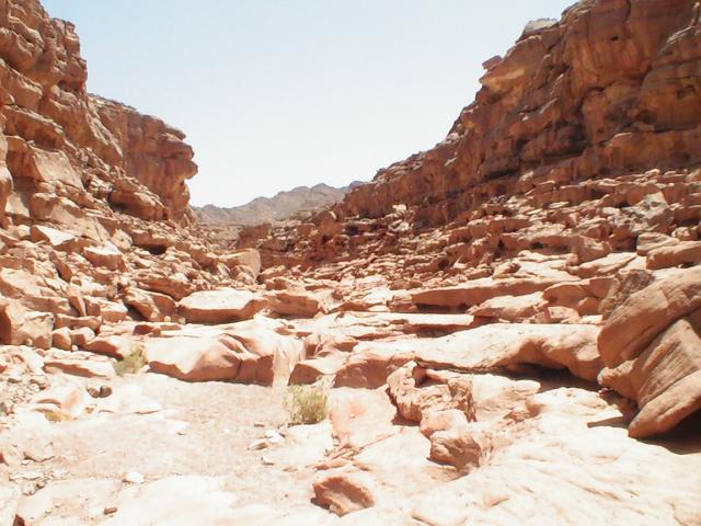 PIC_0080.JPG