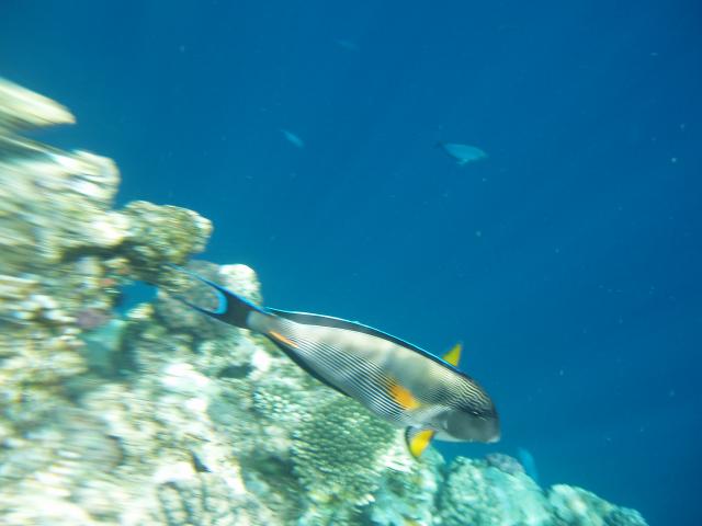 P5030336.JPG