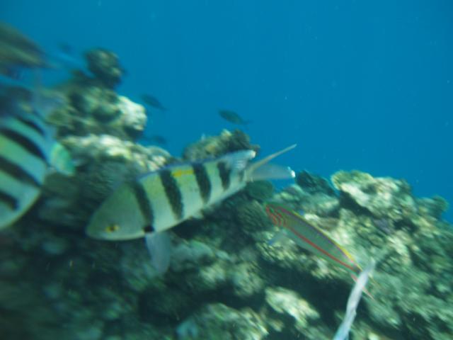 P5030338.JPG