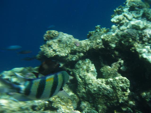 P5030339.JPG
