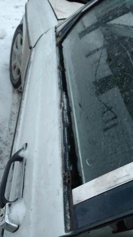 IMG_20170115_172918556.jpg